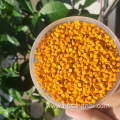 Golden master batch hot selling Good quality